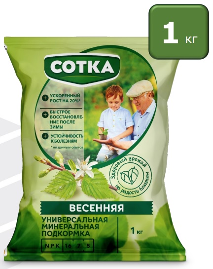 Сотка 