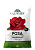 roza_grunt_1_2.jpg