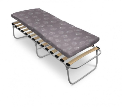 Кровать раскладная с ортопедич основанием и мягким гипоаллерг матрасом (РК6-М/2 с одуванчиками)